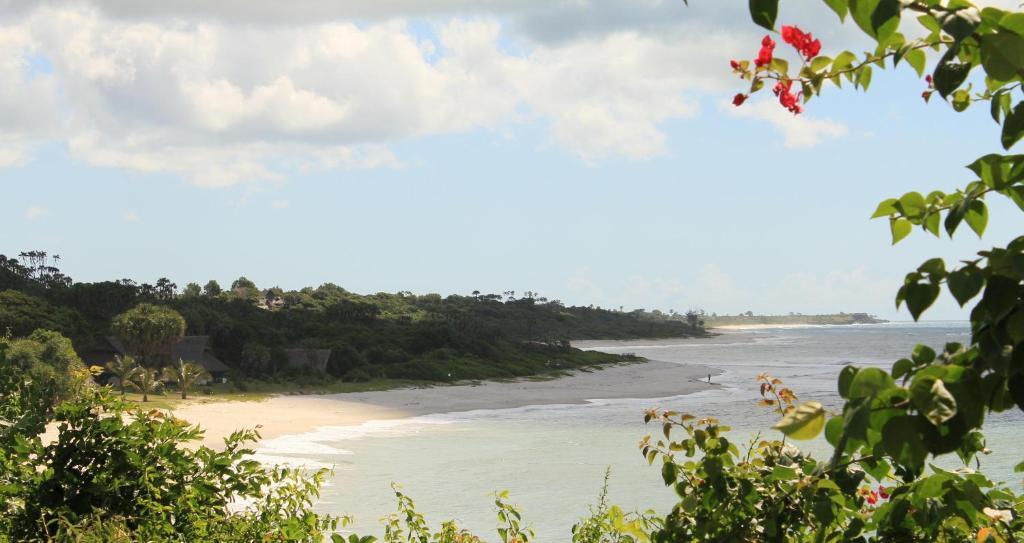 Amani Beach Resort Kutani المظهر الخارجي الصورة