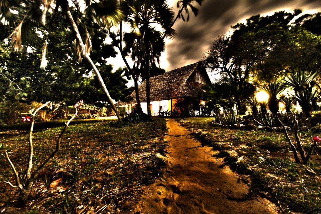 Amani Beach Resort Kutani المظهر الخارجي الصورة