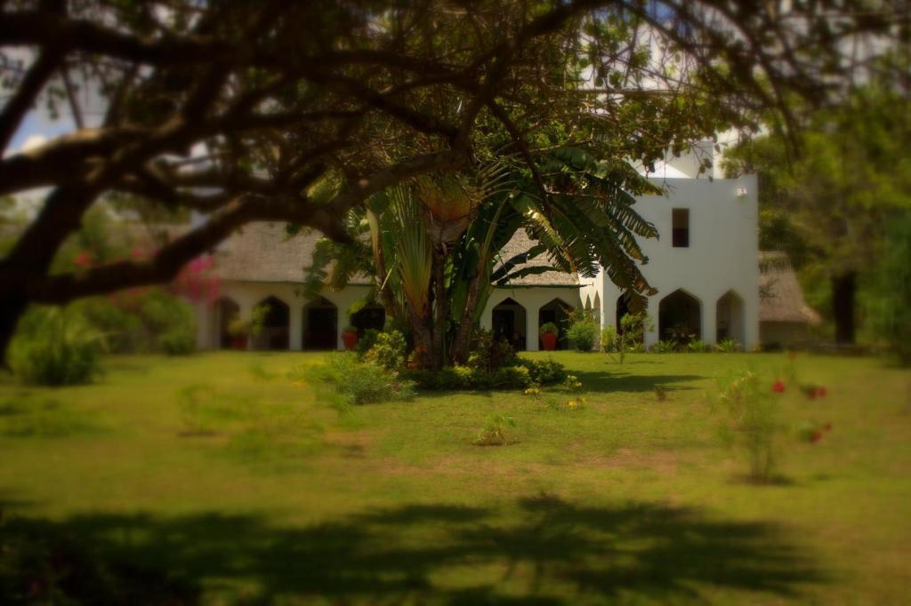 Amani Beach Resort Kutani المظهر الخارجي الصورة