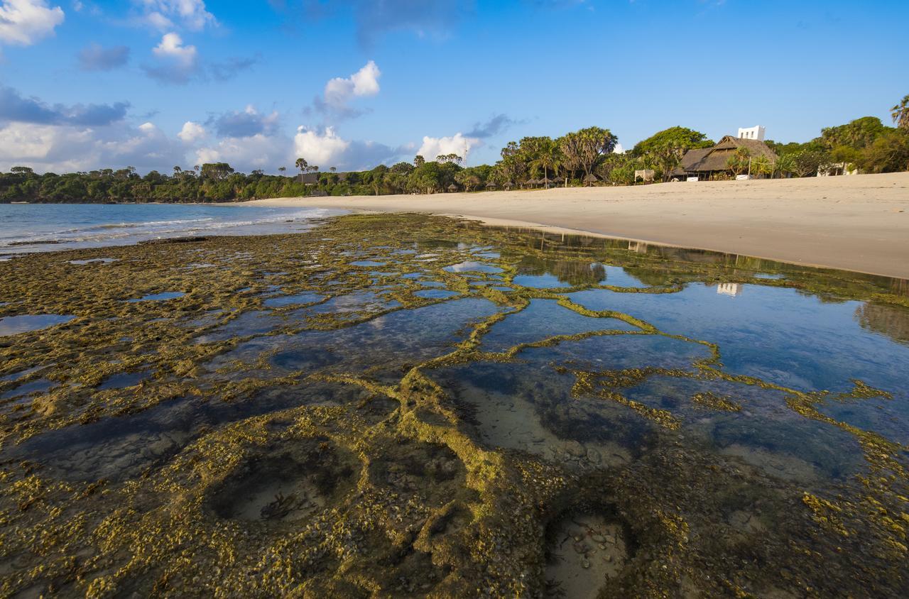 Amani Beach Resort Kutani المظهر الخارجي الصورة